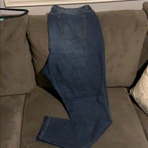 Fashion to Figure Skinny Jeans